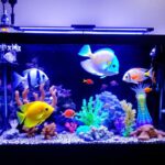 Aquarium Île-de-France : guide complet des meilleurs sites aquatiques de la région parisienne